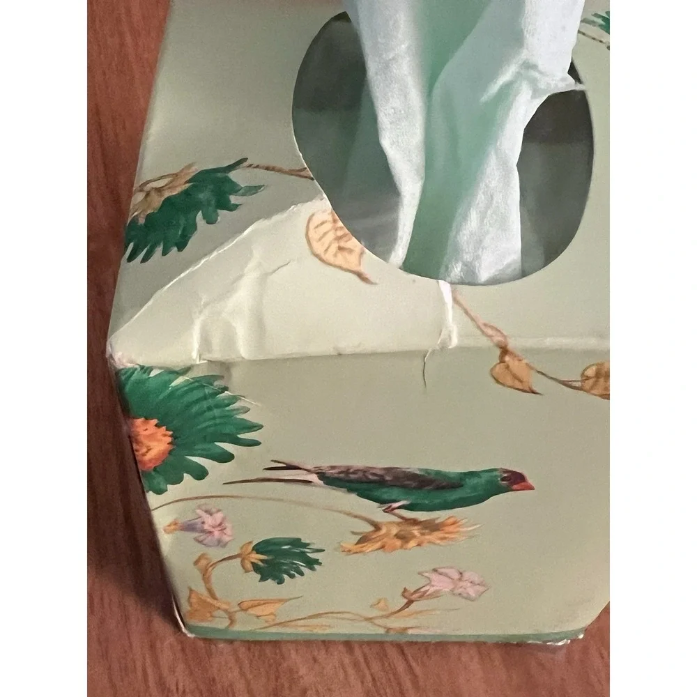 Vtg Kleenex Softique Tissues Lightly Scented Green 2-Ply Open Decorator Box 1981
